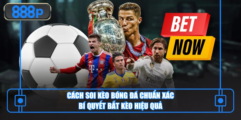 Ảnh đại diện cách soi kèo bóng đá chuẩn xác