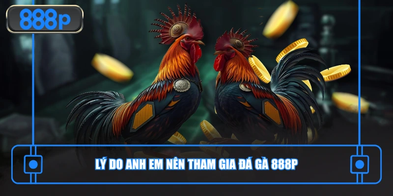 Lý do anh em nên tham gia đá gà 888P
