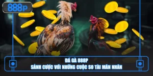 Ảnh đại diện đá gà 888p