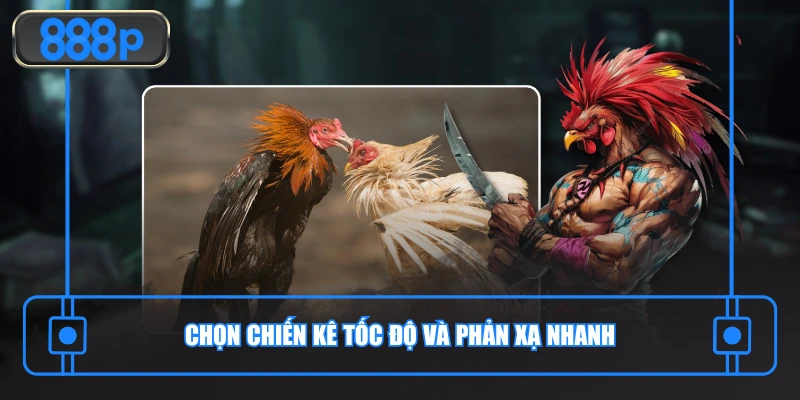 Chọn chiến kê tốc độ và phản xạ nhanh