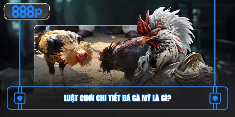 Luật chơi chi tiết đá gà Mỹ là gì?