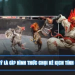 Ảnh đại diện đá gà Mỹ là gì