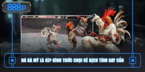 Ảnh đại diện đá gà Mỹ là gì