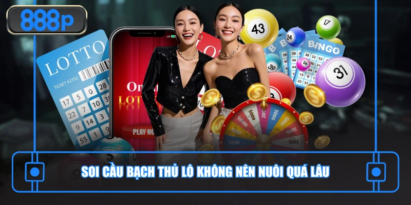 Soi cầu bạch thủ lô không nên nuôi quá lâu