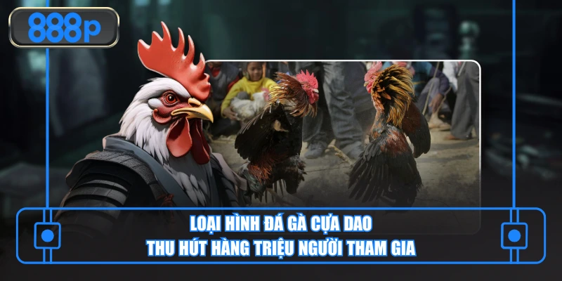 Loại hình đá gà cựa dao thu hút hàng triệu người tham giaLoại hình đá gà cựa dao thu hút hàng triệu người tham gia